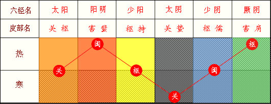 六經(jīng)皮部與關(guān)、闔、樞表