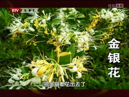 byb.cn byb.cn