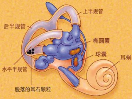 byb.cn byb.cn