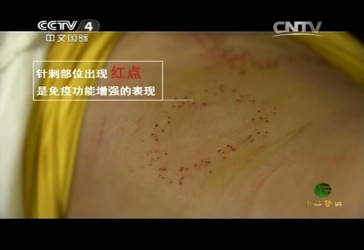 byb.cn byb.cn