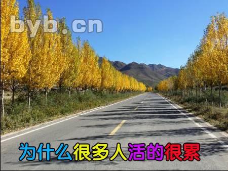 為什么很多人活的很累？