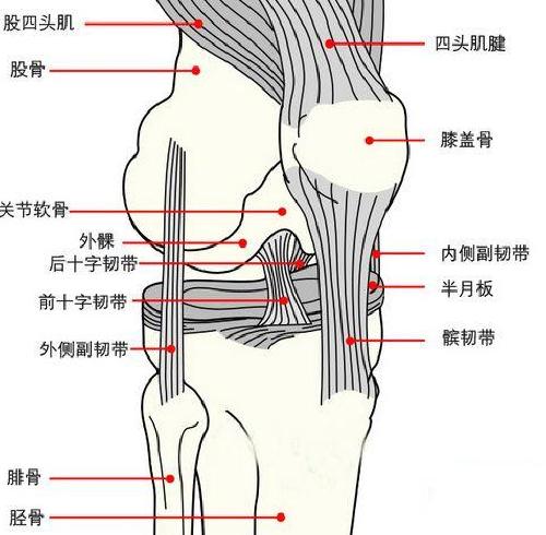 byb.cn byb.cn