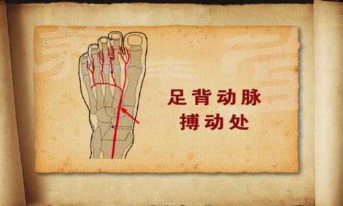 byb.cn byb.cn